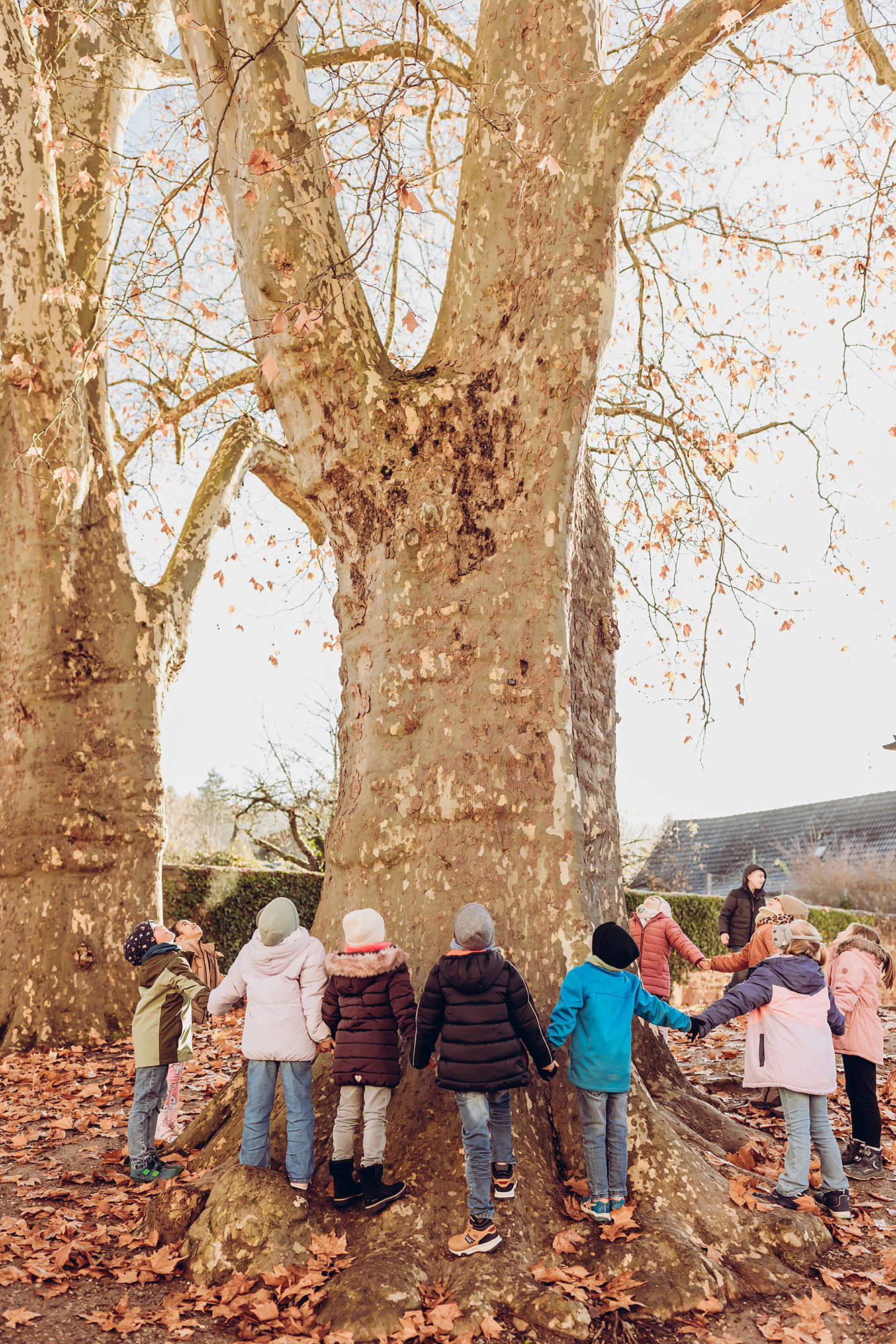 Kinder stehen gemeinsam unter einem Baum auf dem Schulhof